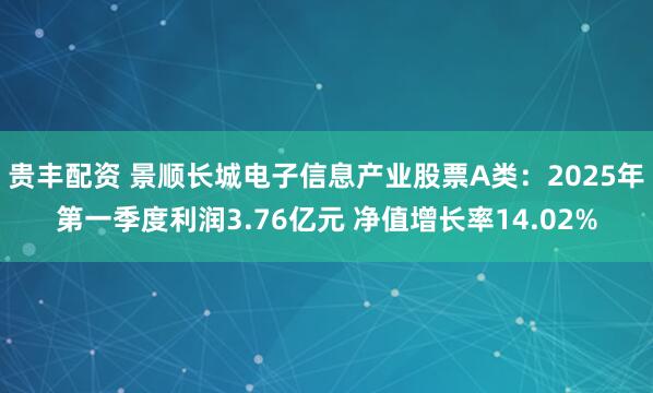 贵丰配资 景顺长城电子信息产业股票A类：2025年第一季度利润3.76亿元 净值增长率14.02%